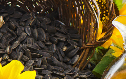 Слънчогледово масло (Helianthus annuus)