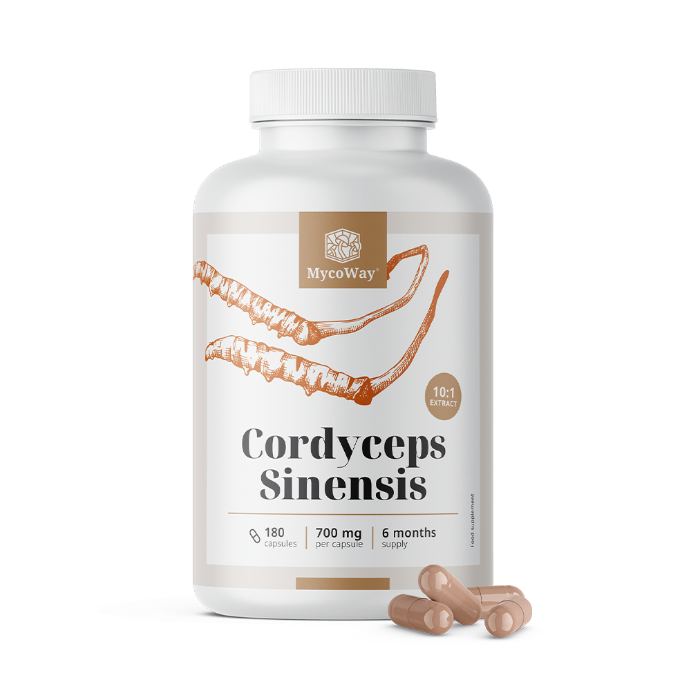 Cordyceps sinensis 1400 мг – екстракт 10:1