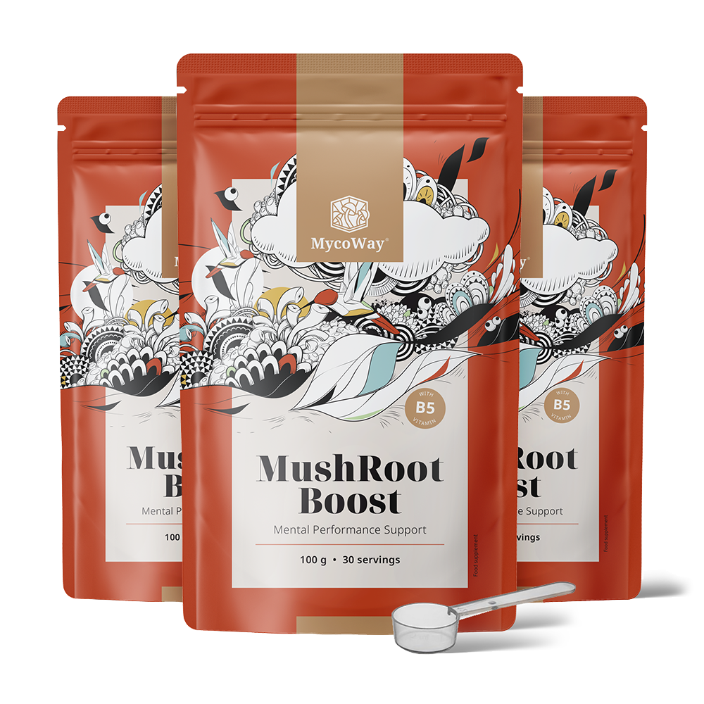 MushRoot Boost - напитка за умствена издръжливост